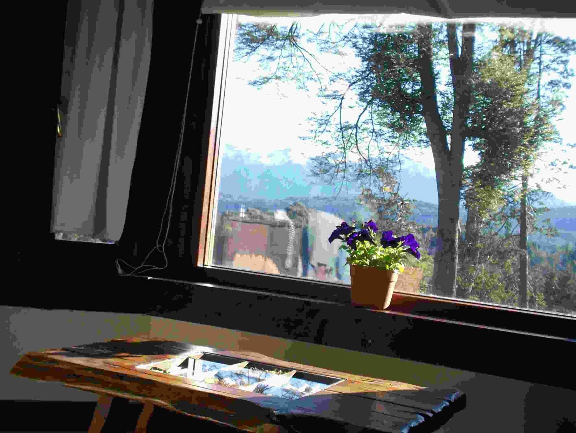 Hosteria Naranjo En Flor ビージャ・ラ・アンゴストゥーラ エクステリア 写真
